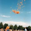 1996 start van rava in houtwijk